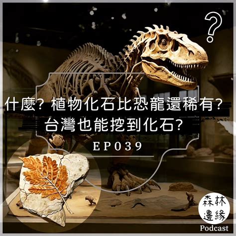 台灣有龍嗎|台灣有恐龍嗎？化石學家帶你探索島嶼的古老秘密——《好久・不。